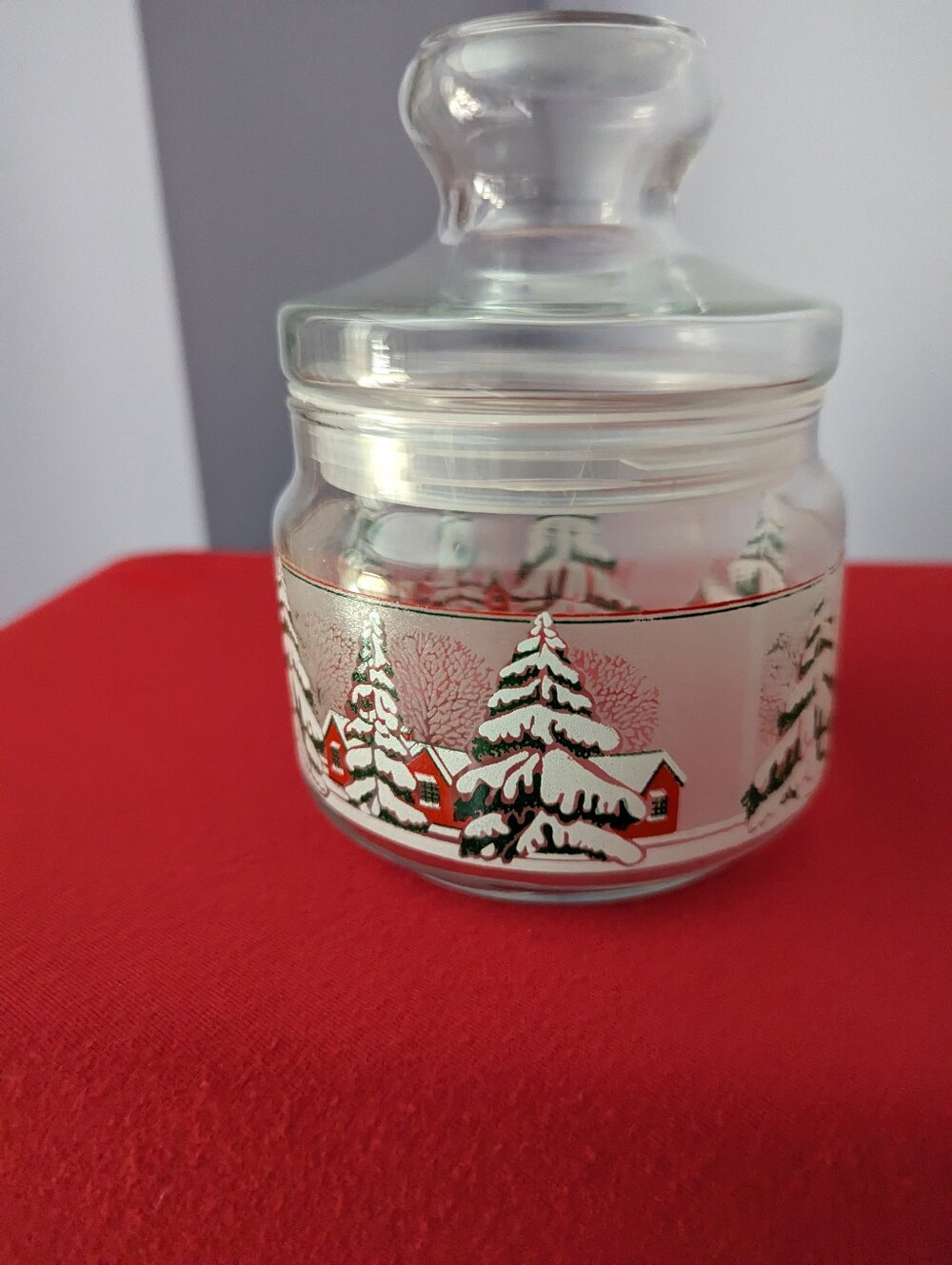 Storage With Snow Scene